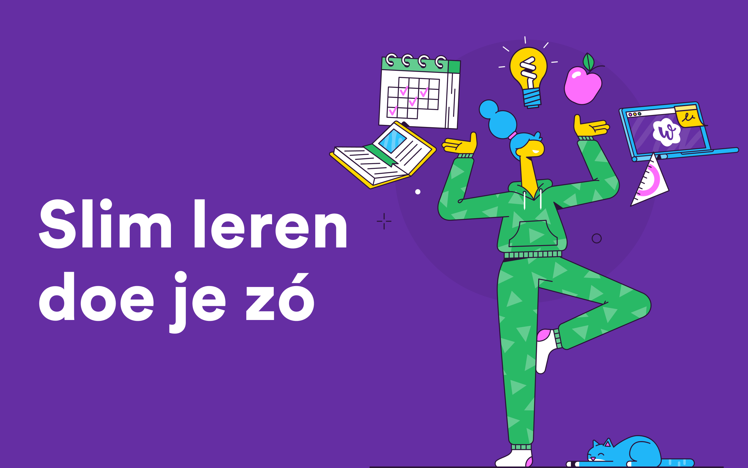 STUDYGO SLIM LEREN MET OEFENTOETSEN EN BIJLES visual data 7