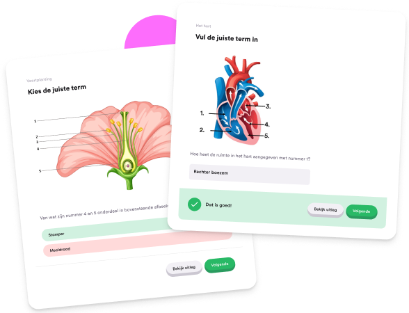 Afbeelding van een oefenvraag op StudyGo